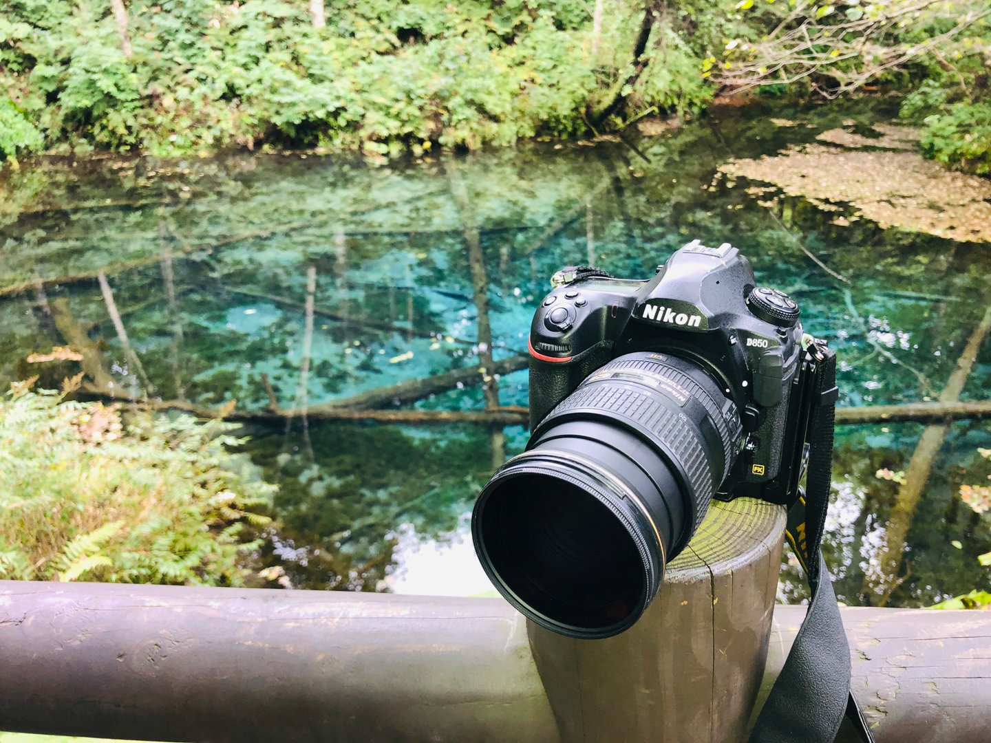 ShaShaネイチャースナップのすすめ｜C-PLフィルターを使いこなそう 小林 義明