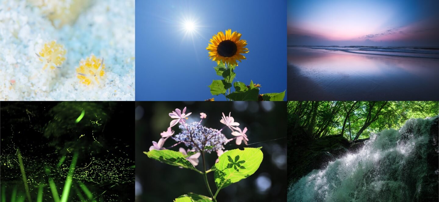ShaSha_プロカメラマンが紹介する『夏風景の撮り方6選』