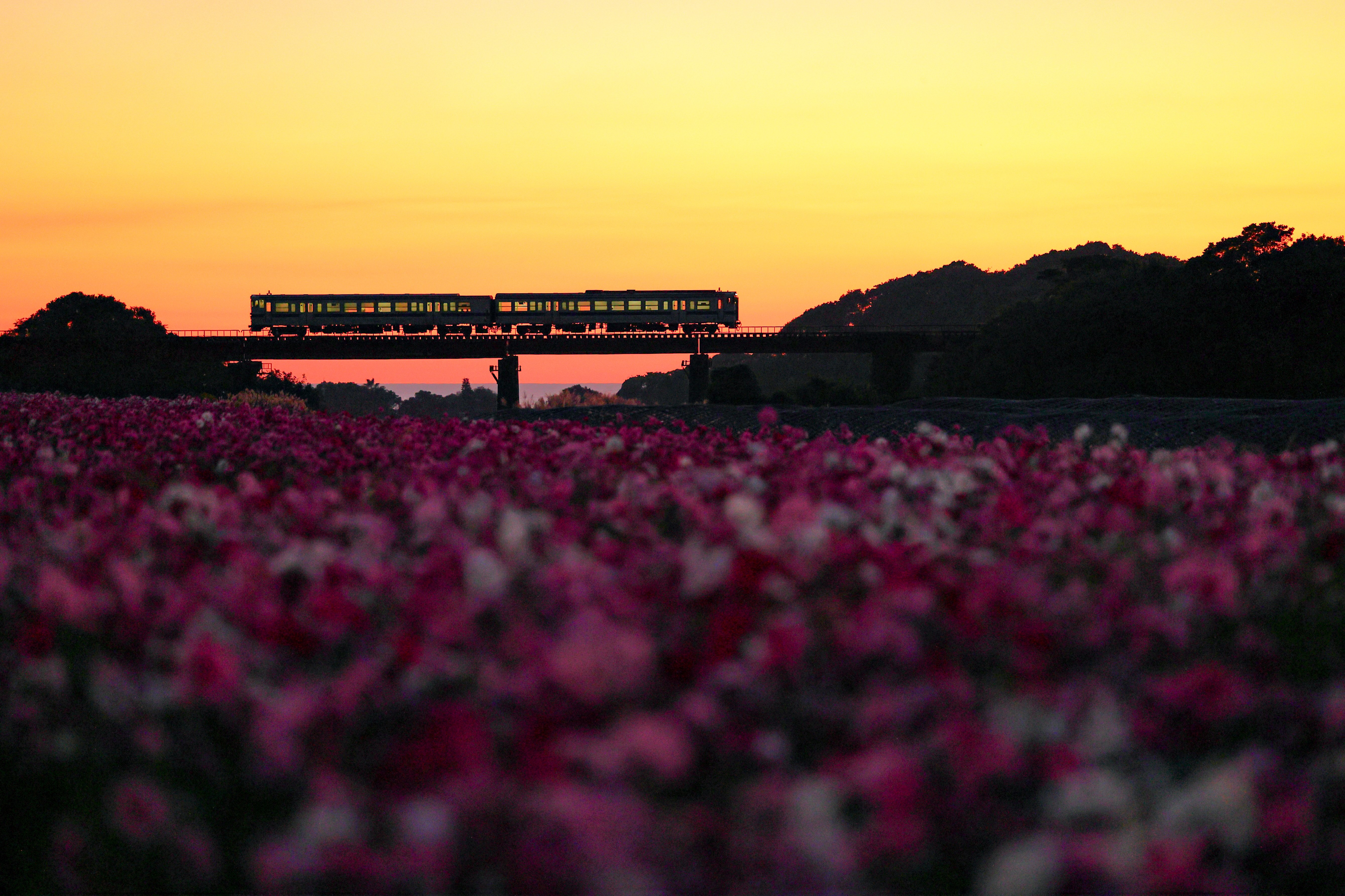 馬場園さん_推しフォト_夕暮れ