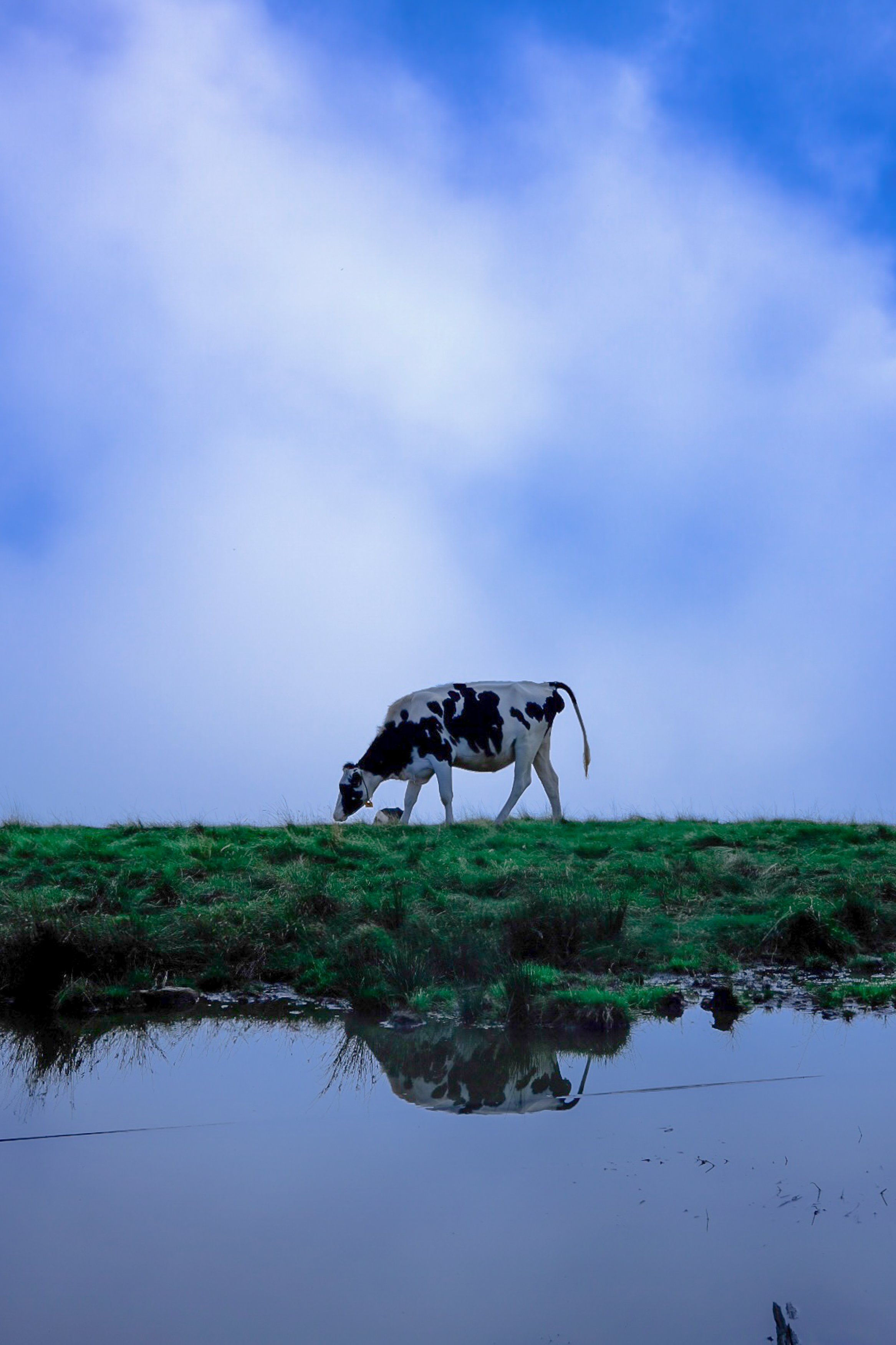 美ヶ原高原美術館_推しフォトスポット