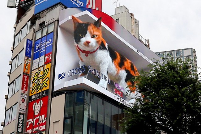 巨大猫のサイネージ