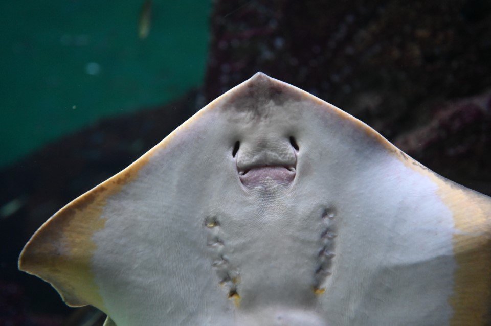 カメラのキタムラ写真部