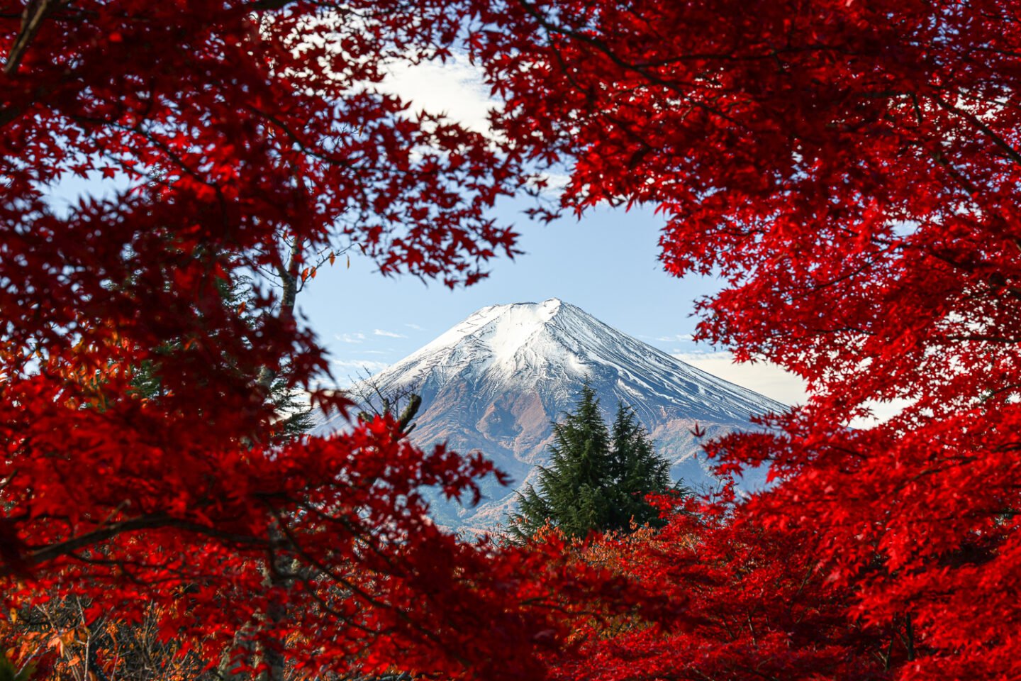 ShaSha_キヤノン EOS R6 Mark III 実写レビュー｜秋冬の風景を捉える3250万画素と“自然な描写力”