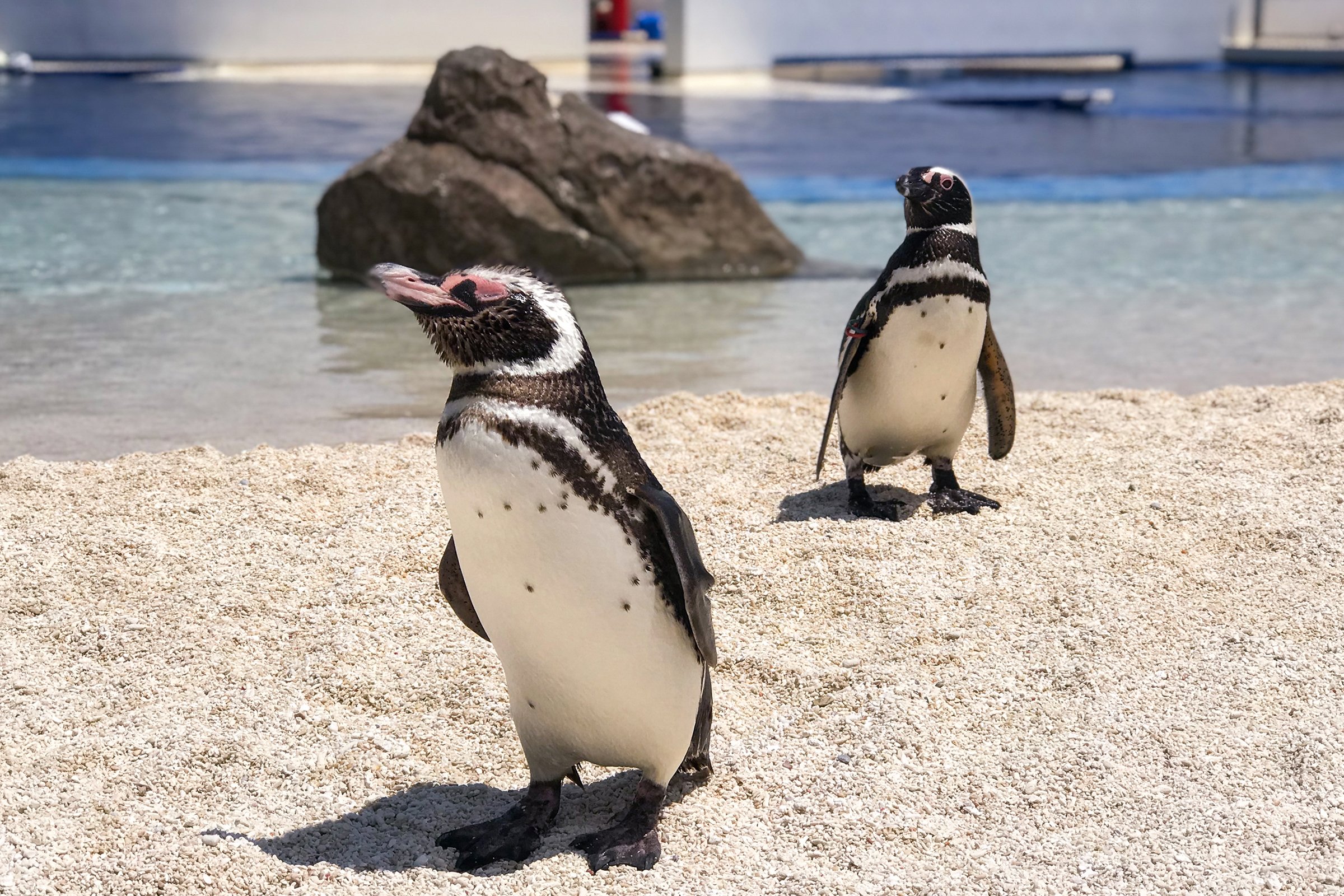 大分マリーンパレス水族館「うみたまご」