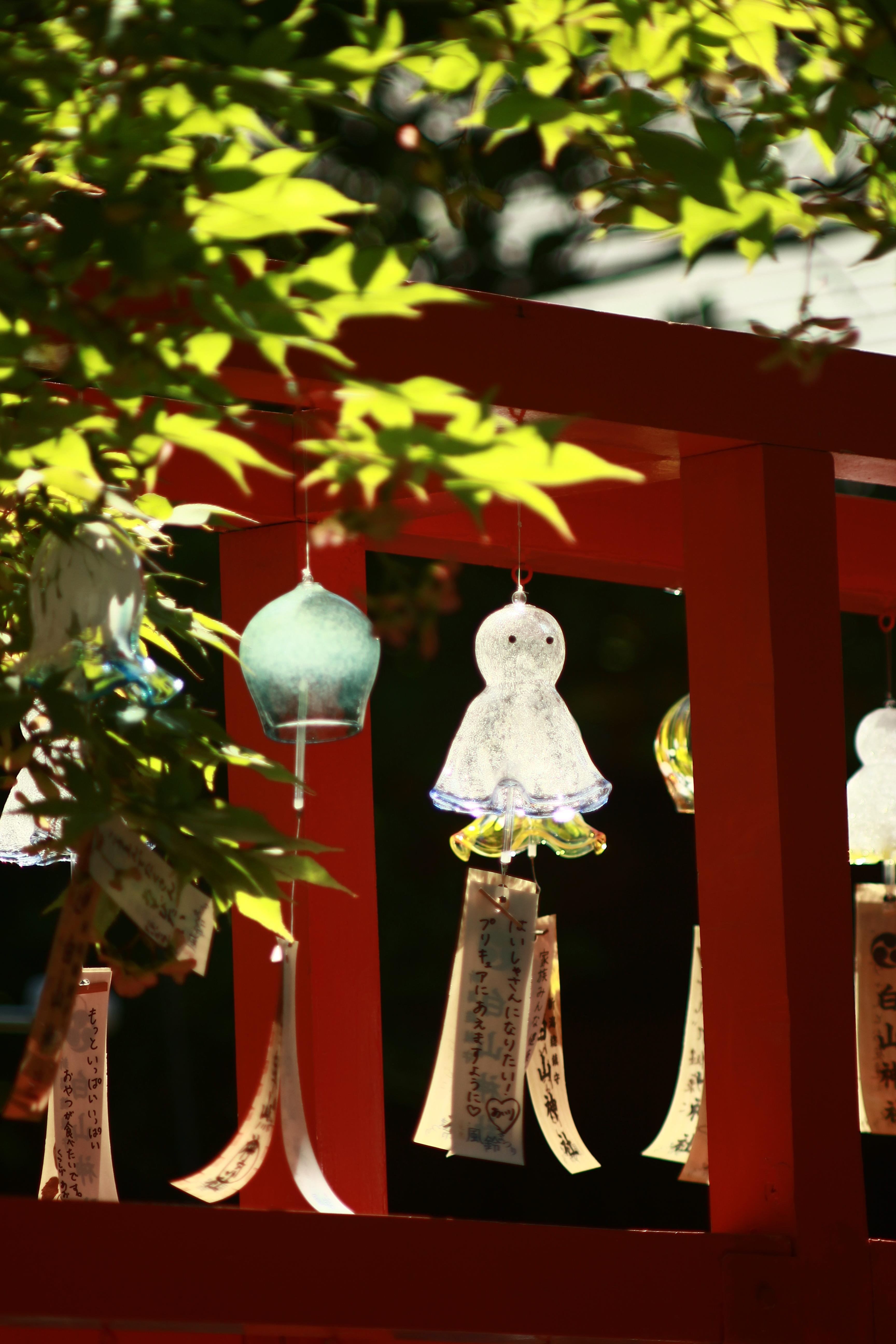 カメラのキタムラ写真部