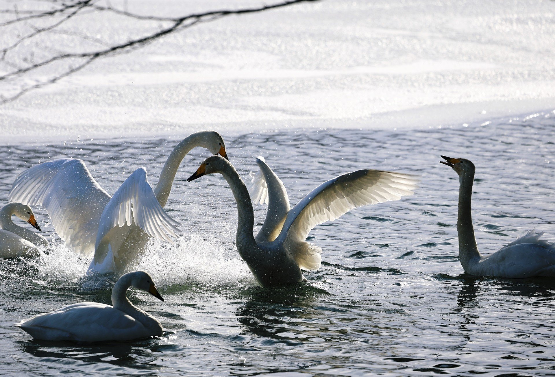 カメラのキタムラ写真部