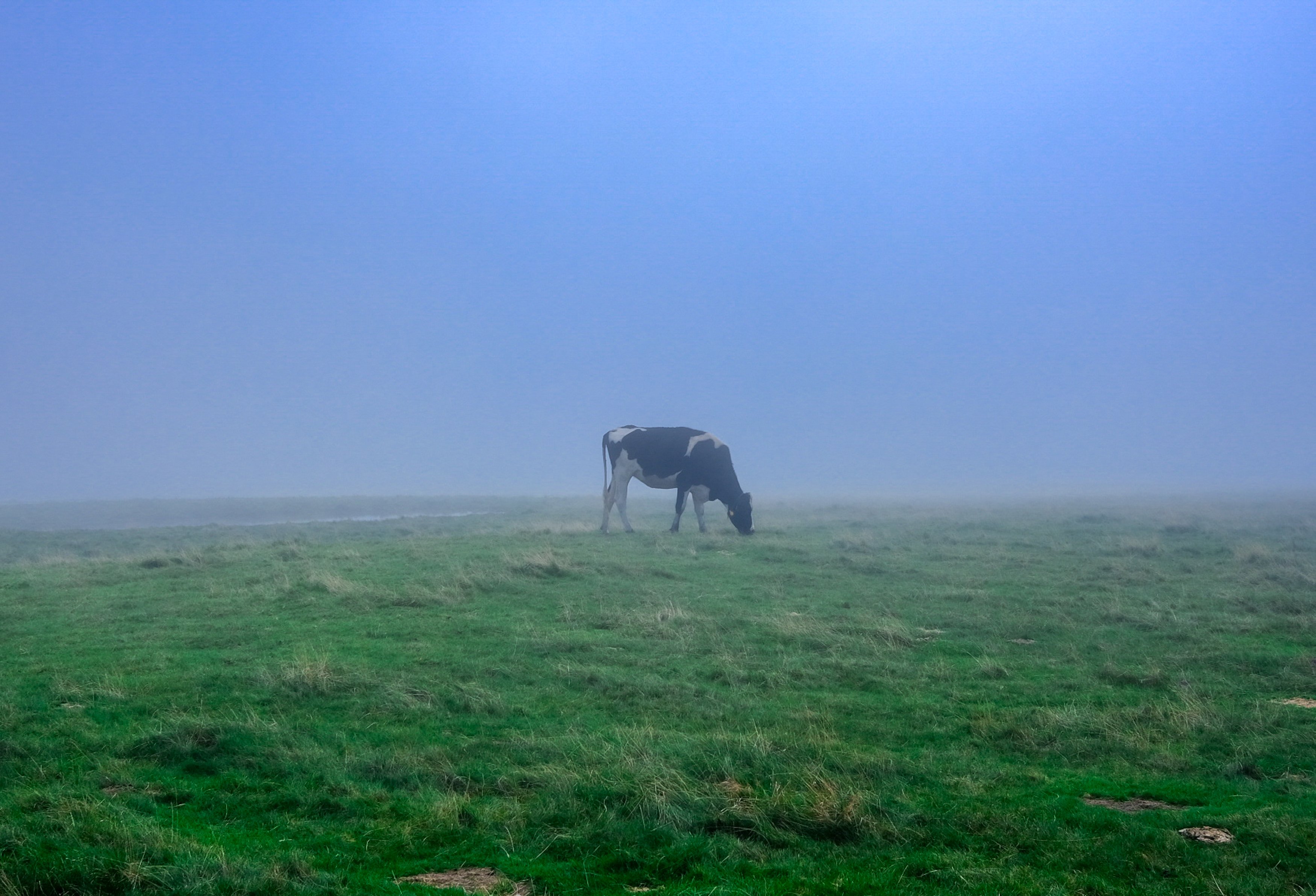 美ヶ原高原美術館