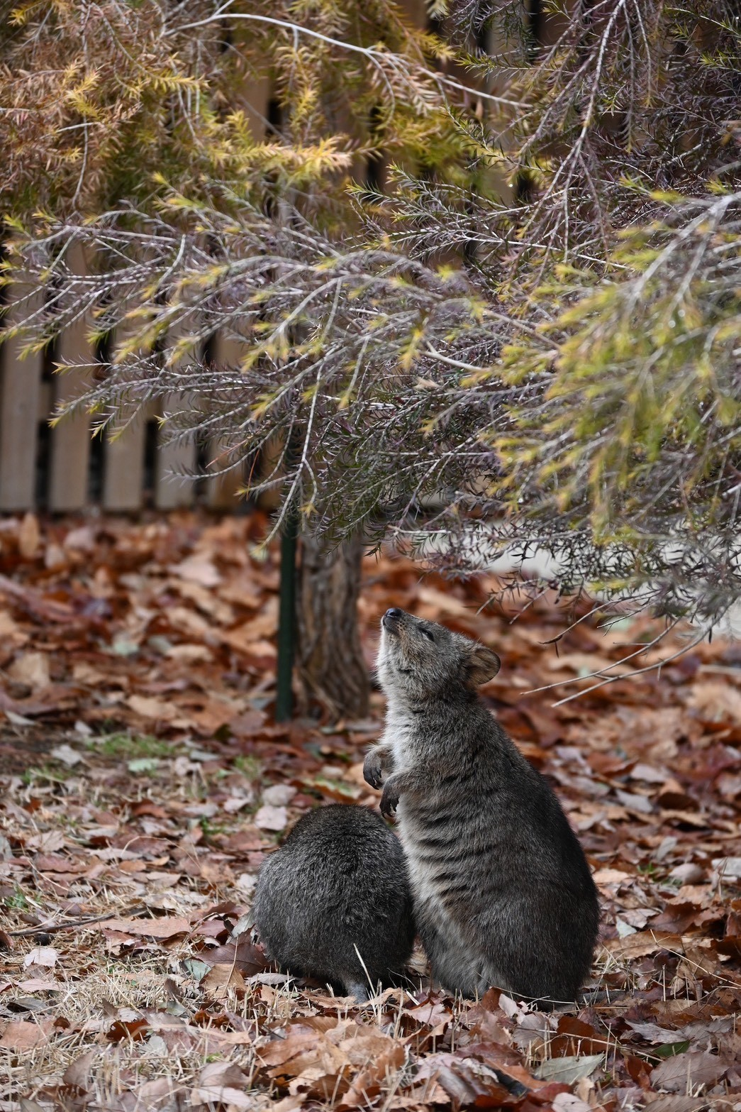 カメラのキタムラ写真部
