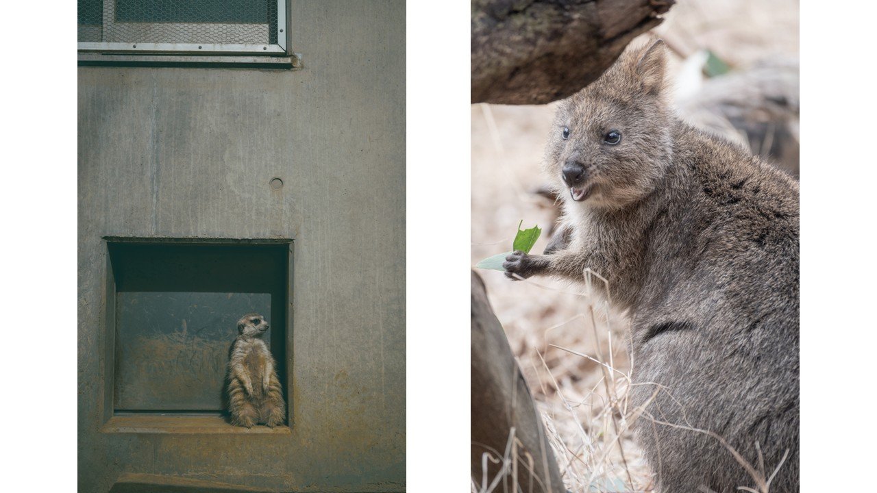 カメラのキタムラ写真部