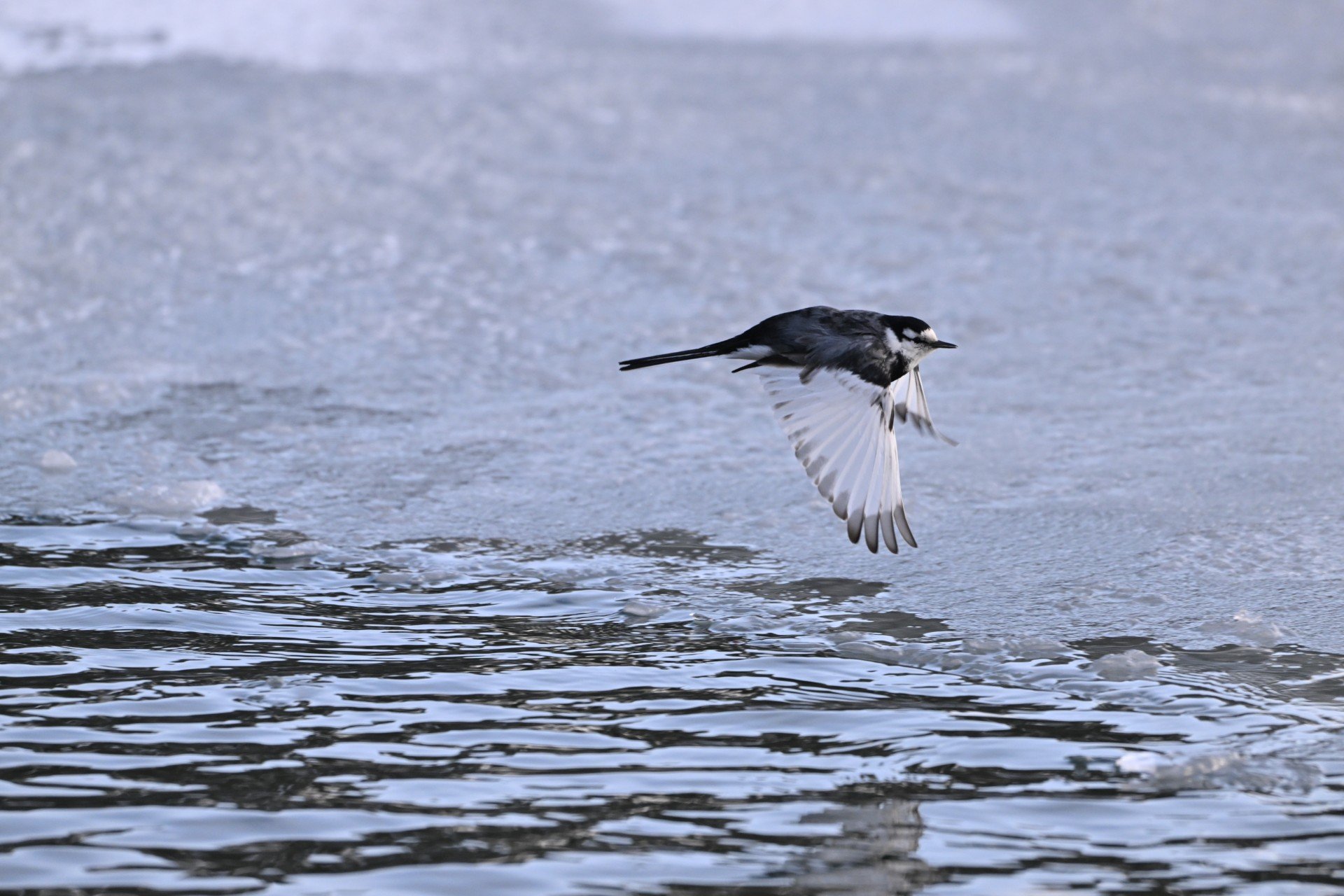 カメラのキタムラ写真部_岩手支部
