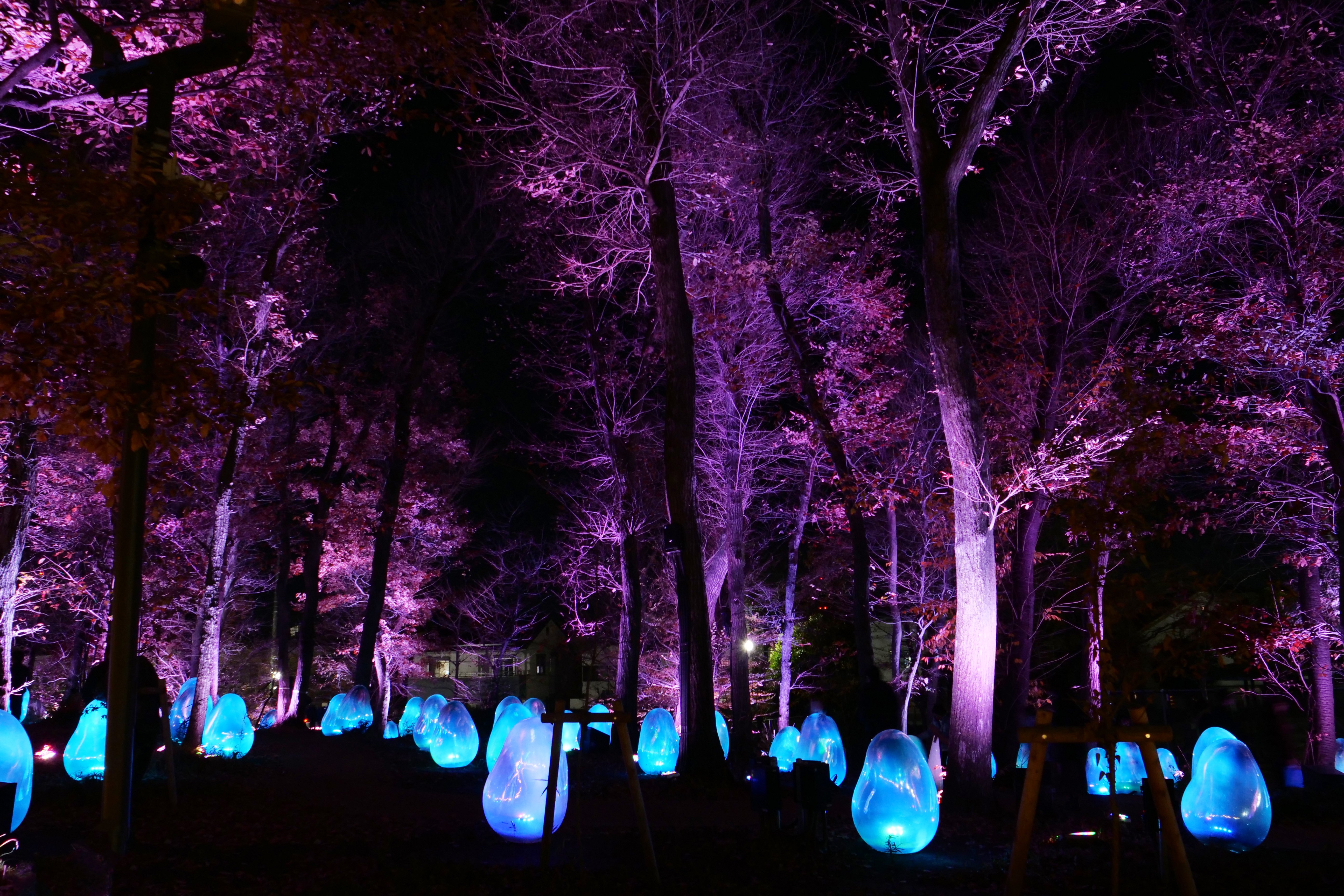 ところざわサクラタウン