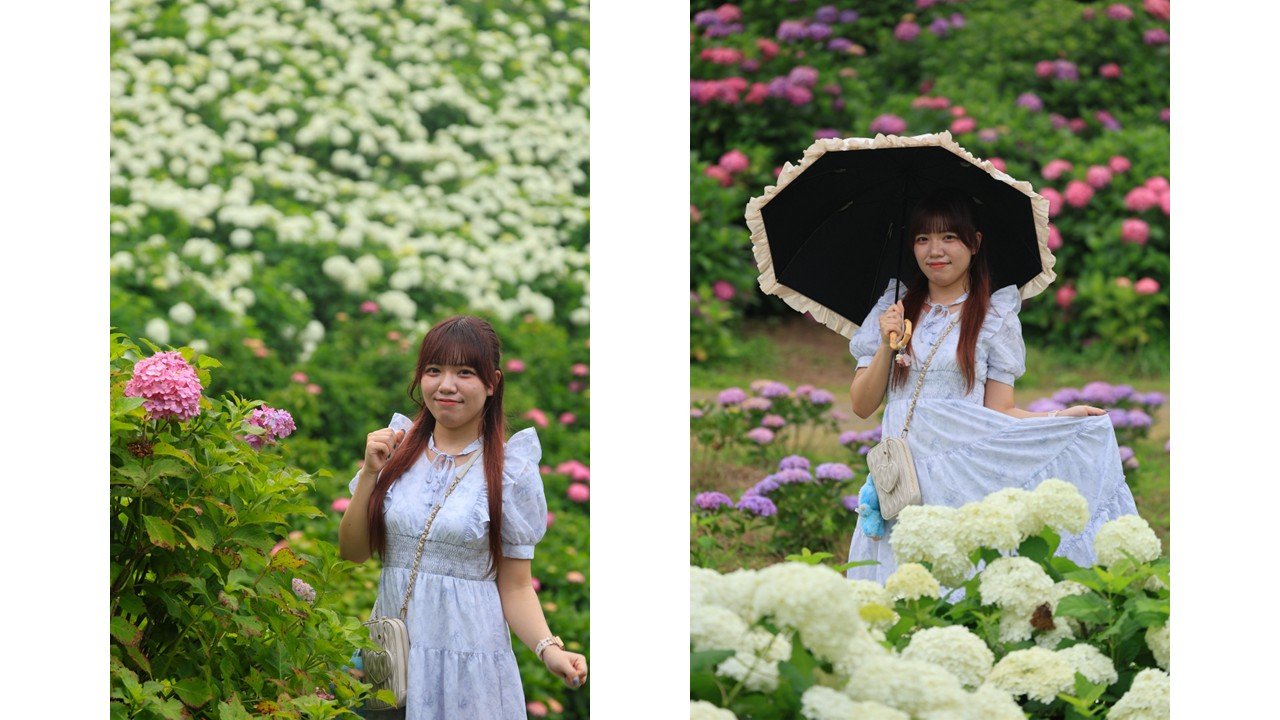カメラのキタムラ写真部