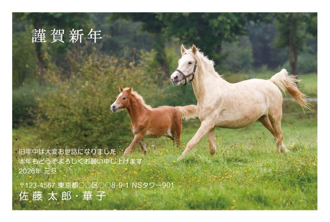 ネットスクウェア年賀状