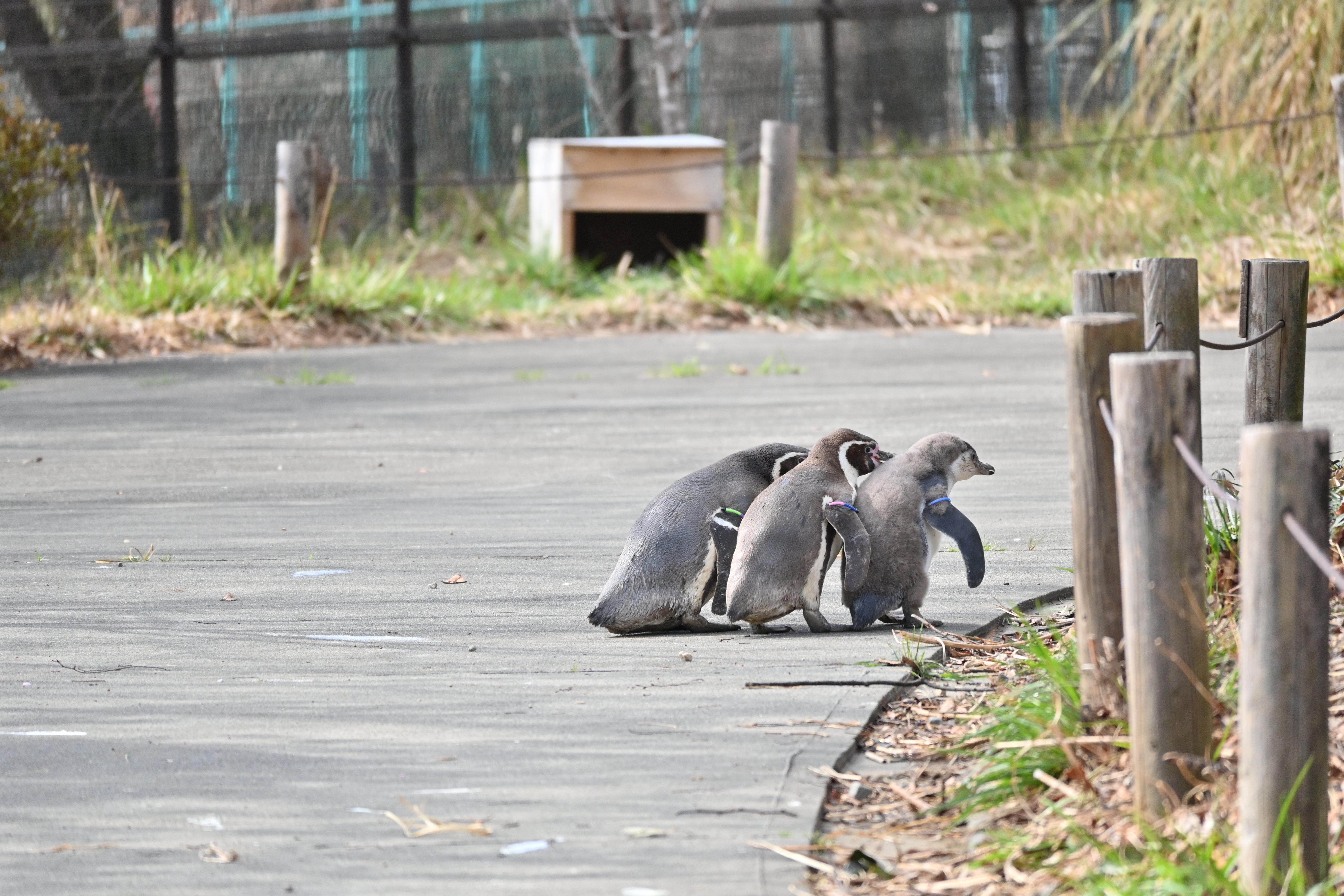 カメラのキタムラ写真部