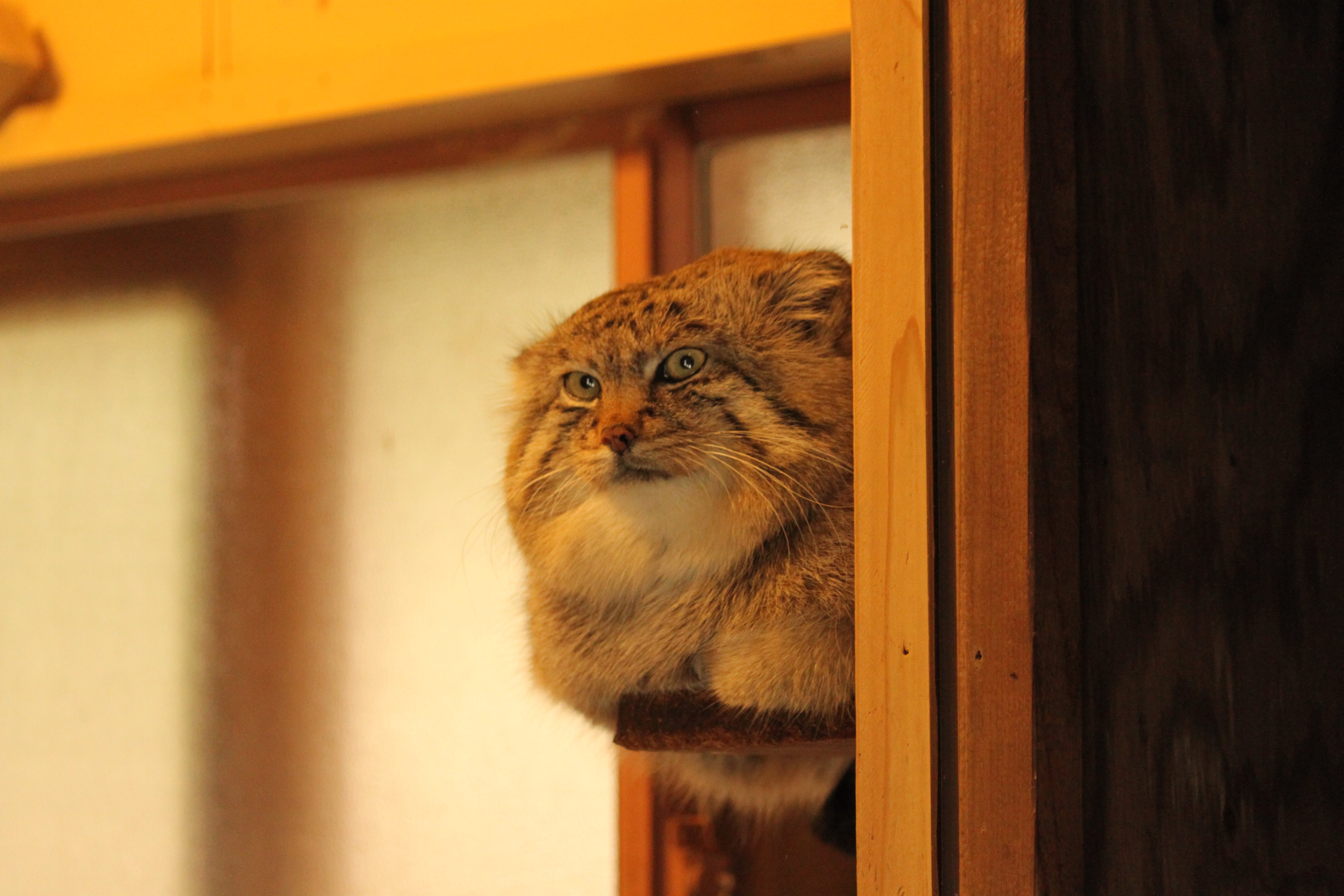 カメラのキタムラ写真部