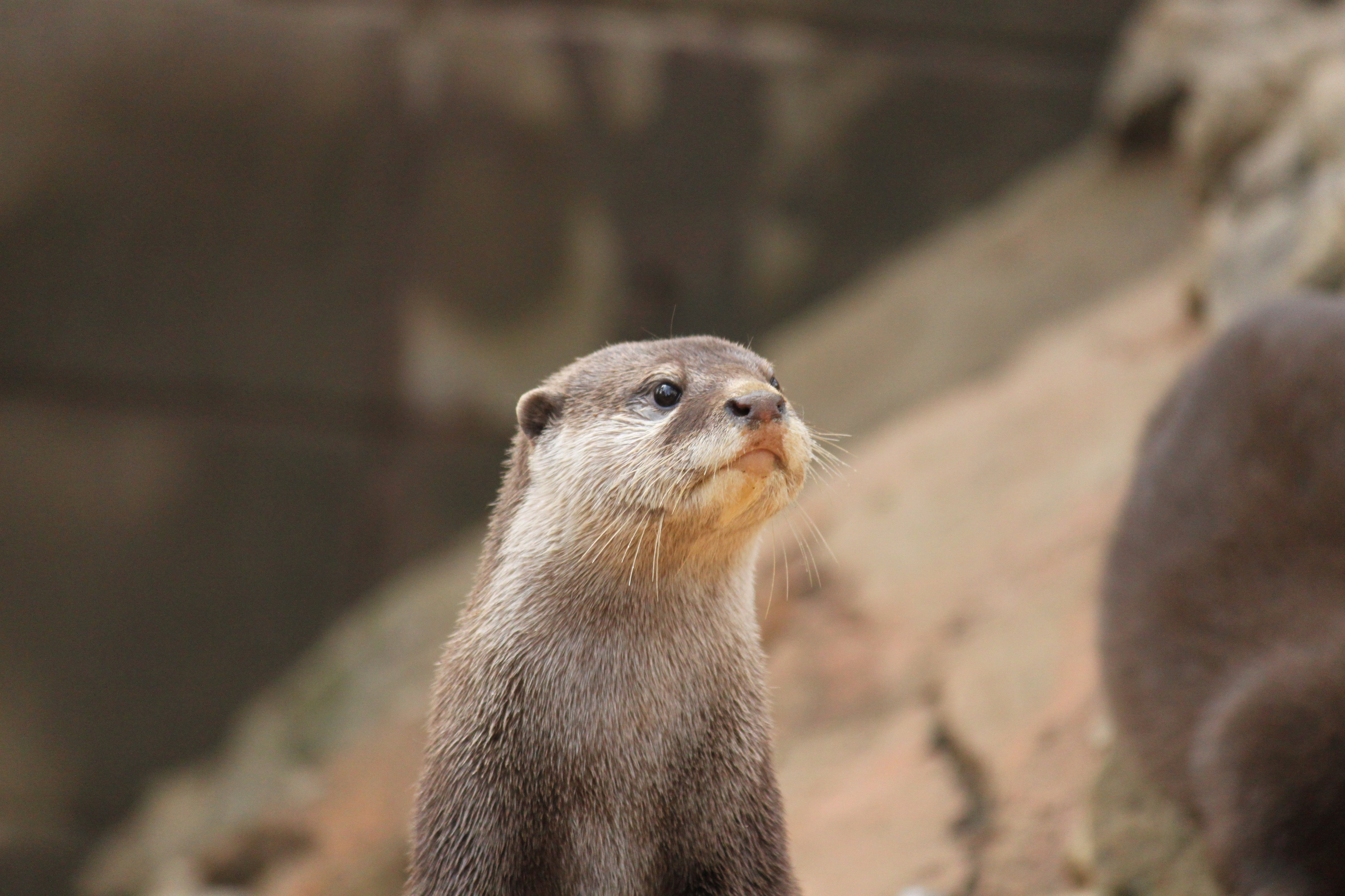 カメラのキタムラ写真部