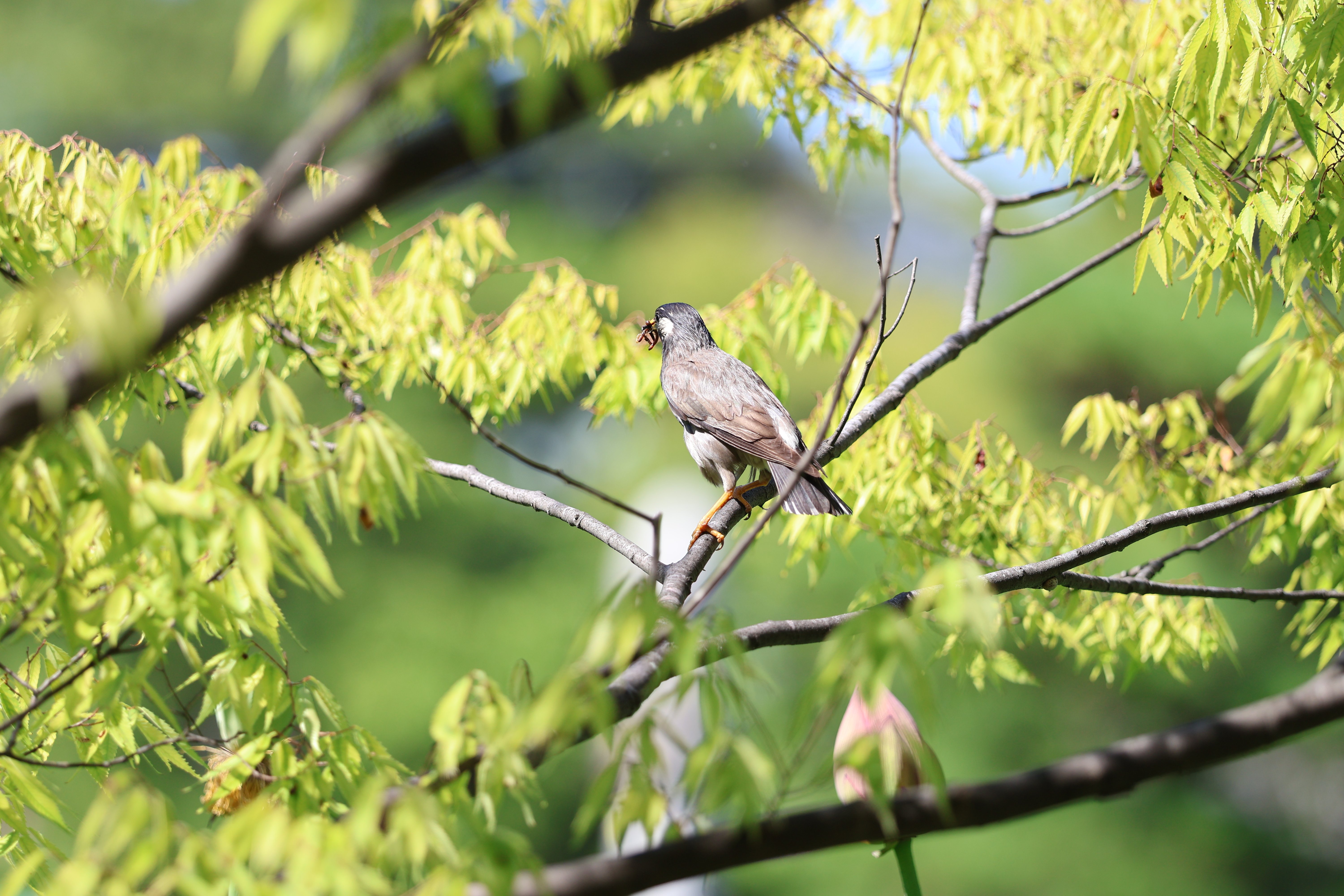 カメラのキタムラ写真部