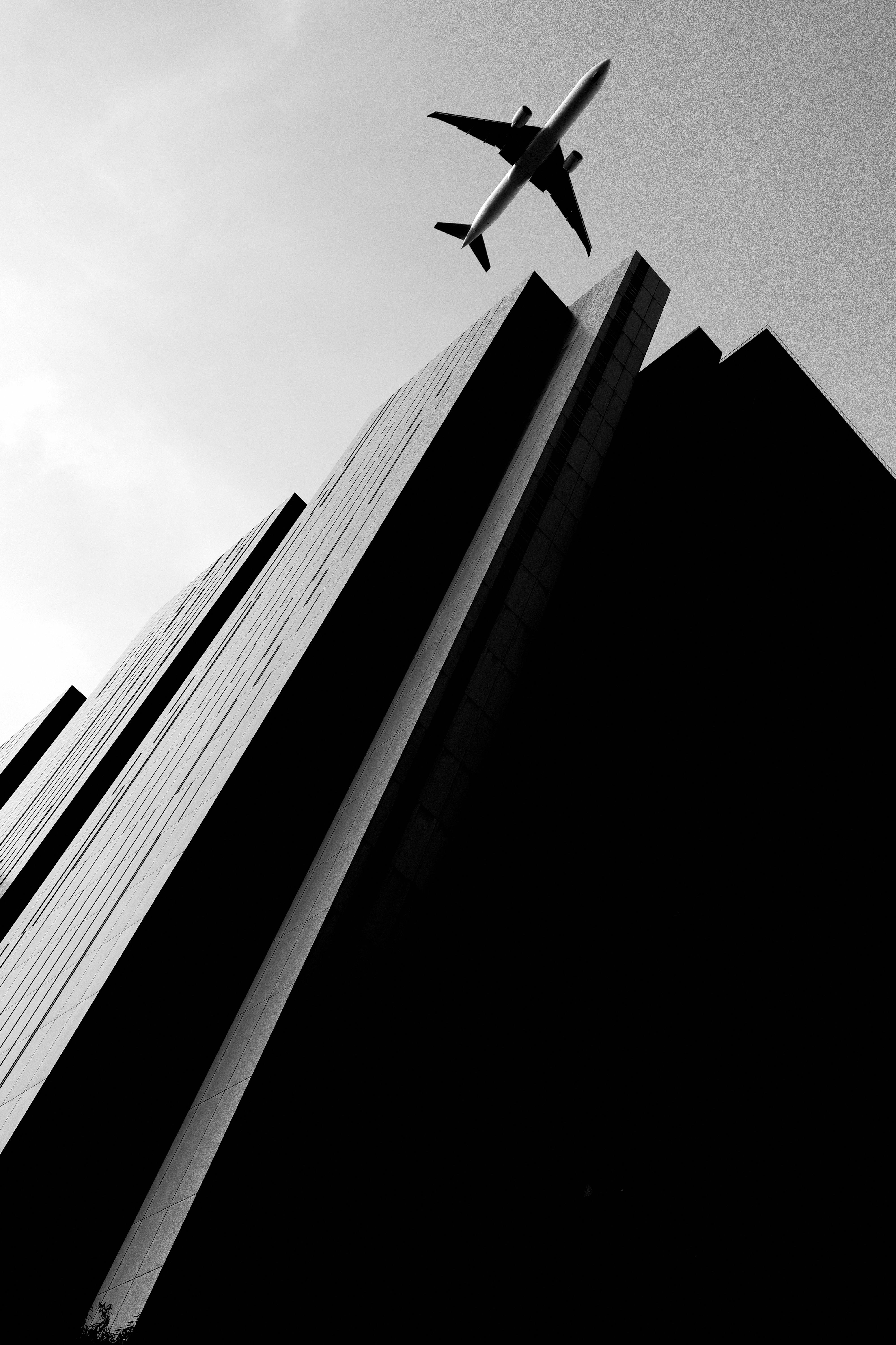 POKER FACE 久保さん作品