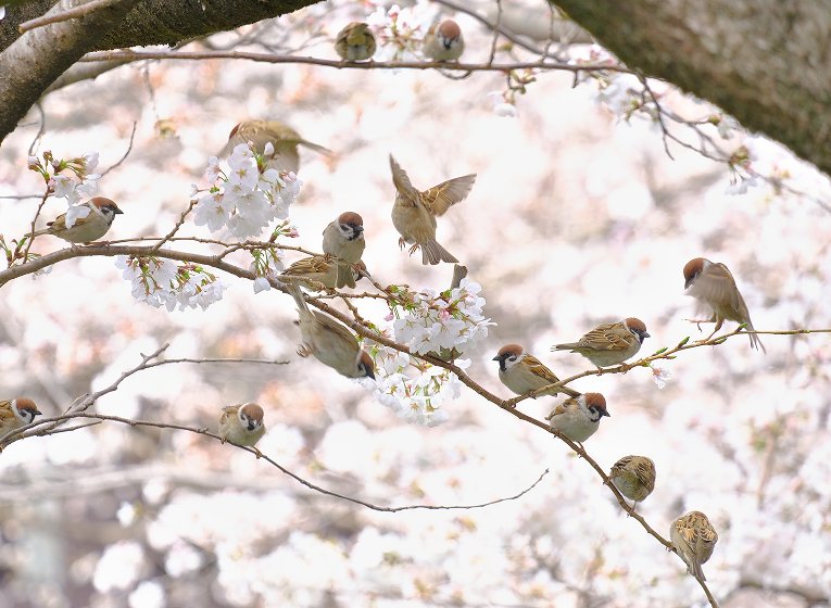 カメラのキタムラフォトコンテスト2025春夏